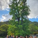 서종면다목적복지회관 | 2025년 구의3동주민자치회 워크숍