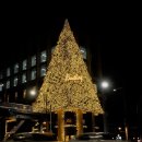 럭셔리레스토랑 이미지