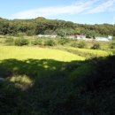 부발읍-02 이미지