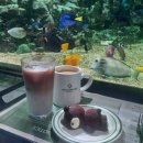 (주)카이아이컴퍼니 이미지