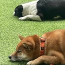 아지트카페 이미지