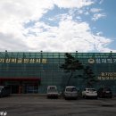 횡재인삼