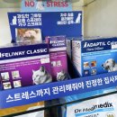 금강 동물병원 이미지