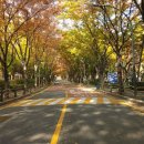 목동동로2길 이미지