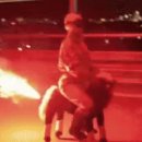 가본풍천민물장어 이미지