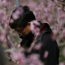 제비식당 이미지