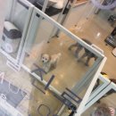 위례나무동물병원 이미지