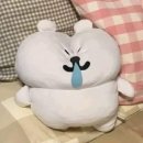 동물은내친구 이미지