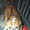 금곡파출소 이미지