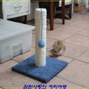 해인두밀 이미지