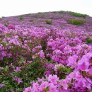 GS25 고양제일 이미지