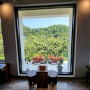 배배농장 이미지