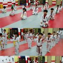 경희대 비트짐 태권도 이미지