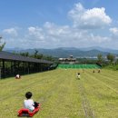 엘포리 캠핑장 이미지