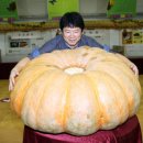 유천1리경로당 이미지