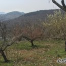 달이농장 이미지