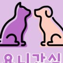 요니간식