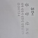 봄맞이님 썬빔 씨앗 이미지