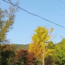 임자공인중개사사무소 이미지