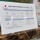 부산해양자연사박물관 | 부산 해양자연사 박물관 + 들락날락 아리랑 주말방문후기(27개월 아기랑)