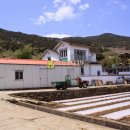 대리로+대리2길 이미지