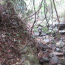 용연목장 이미지