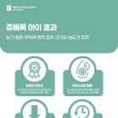 뷰티크아이
