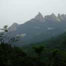 유격장 지나 이미지