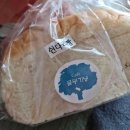 CW-1484-01 이미지