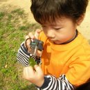 동암아이사랑어린이집 이미지