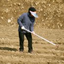 진정1농장 이미지