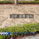 하남중앙초등학교 티스토리