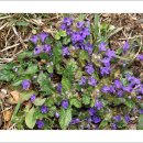 금창초등학교 이미지