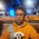 1.920 cc. ㅡㅡㅡㅡㅡ 약 2리터 산삼주 만들어가야 한고뿌씩 돌아갈까? 이미지