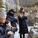 역고드름 이미지