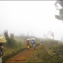 뽈레뽈레 이미지