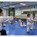 용인대 한얼 태권도 이미지