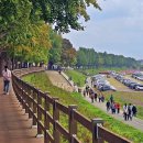 곡교천 은행나무길 이미지