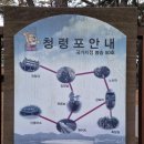 들꽃이야기 이미지