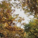 호텔 투하트 이미지