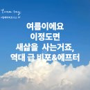 팀레이 피트니스 문성점 | 팀레이피트니스PT 문성PT 다이어트 미친 비포에프터!!