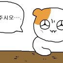 주식회사 깐부 이미지