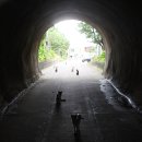 고양이나라 이미지