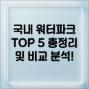 여수스포렉스 | 올여름 완벽 가이드: 국내 워터파크 TOP 5 총정리 및 비교 분석!