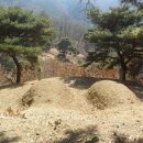 권종 충신문 이미지