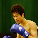 1994복싱 이미지