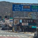 대전오월드