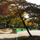 석천공원 이미지