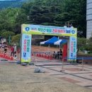 초연중학교 | 2026 백양산 숲길 건강달리기 대회 신청 정보 (+코스 상세후기)