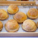 비비(BB)하우스 이미지